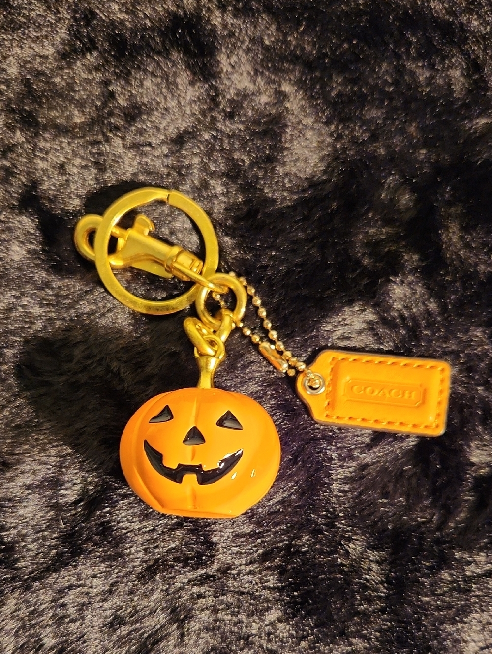 Coach Mini Orange Hang Tag With Unbranded Pumpkin Keychain 🎃